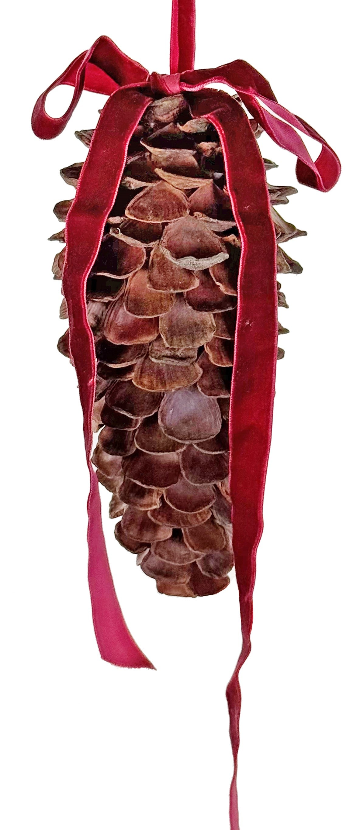 Cedar Cone Large - Burgundy Bow
