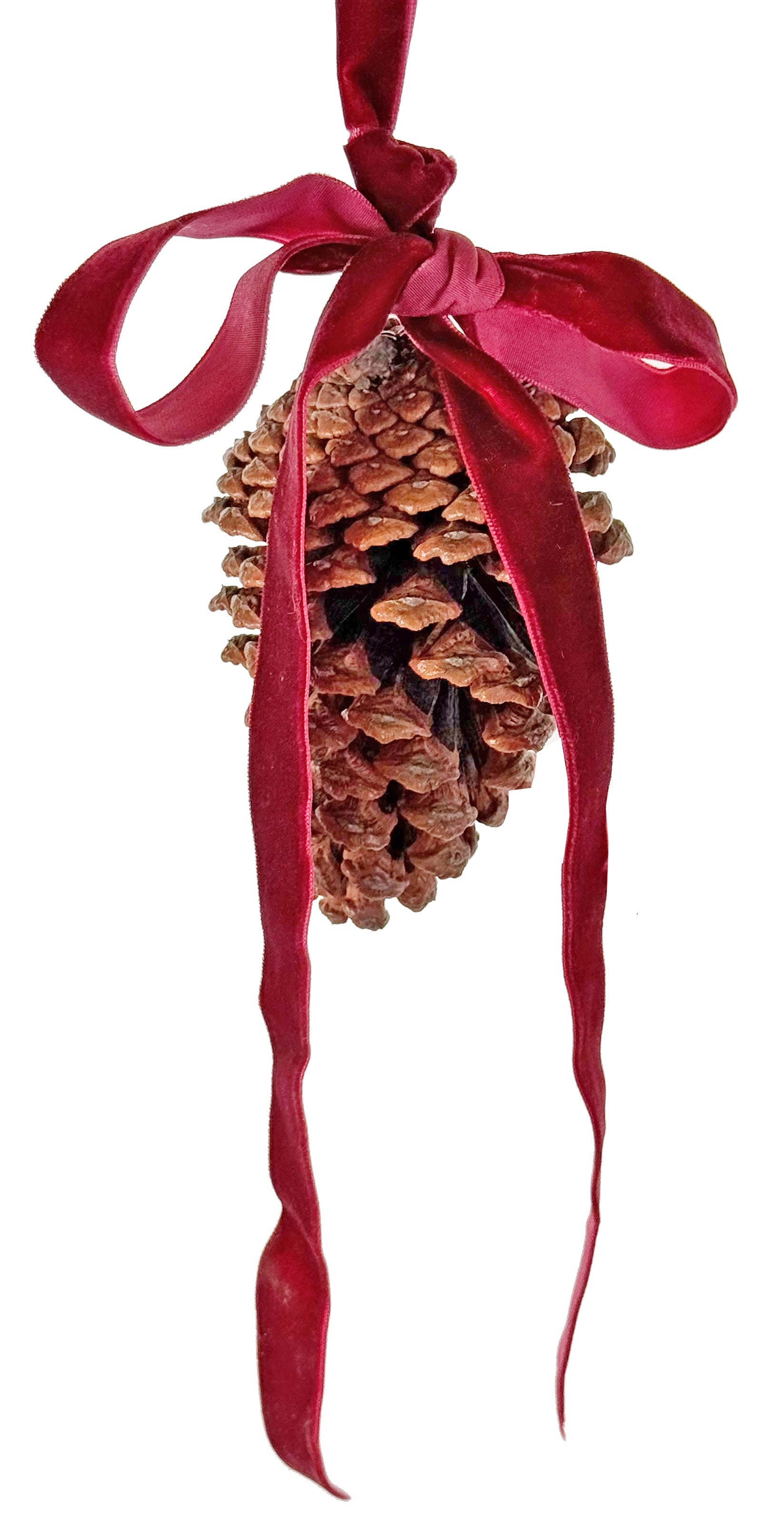 Cedar Cone medium - Burgundy Bow