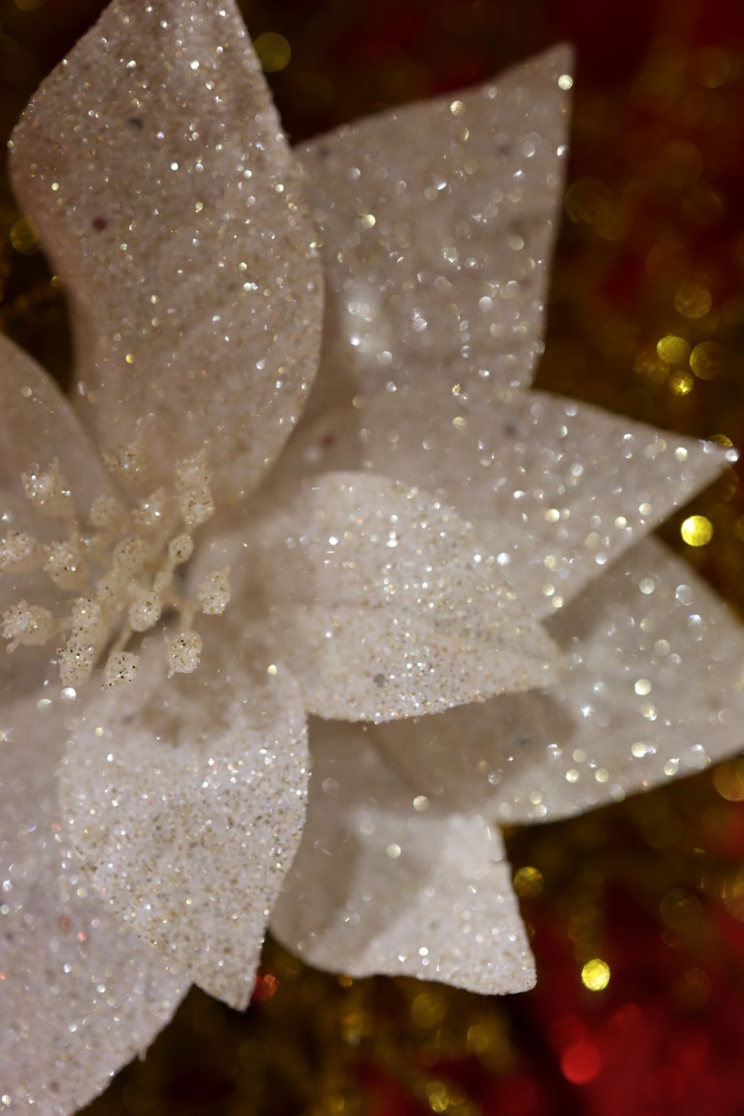 Poinsettia Glitter Sølv