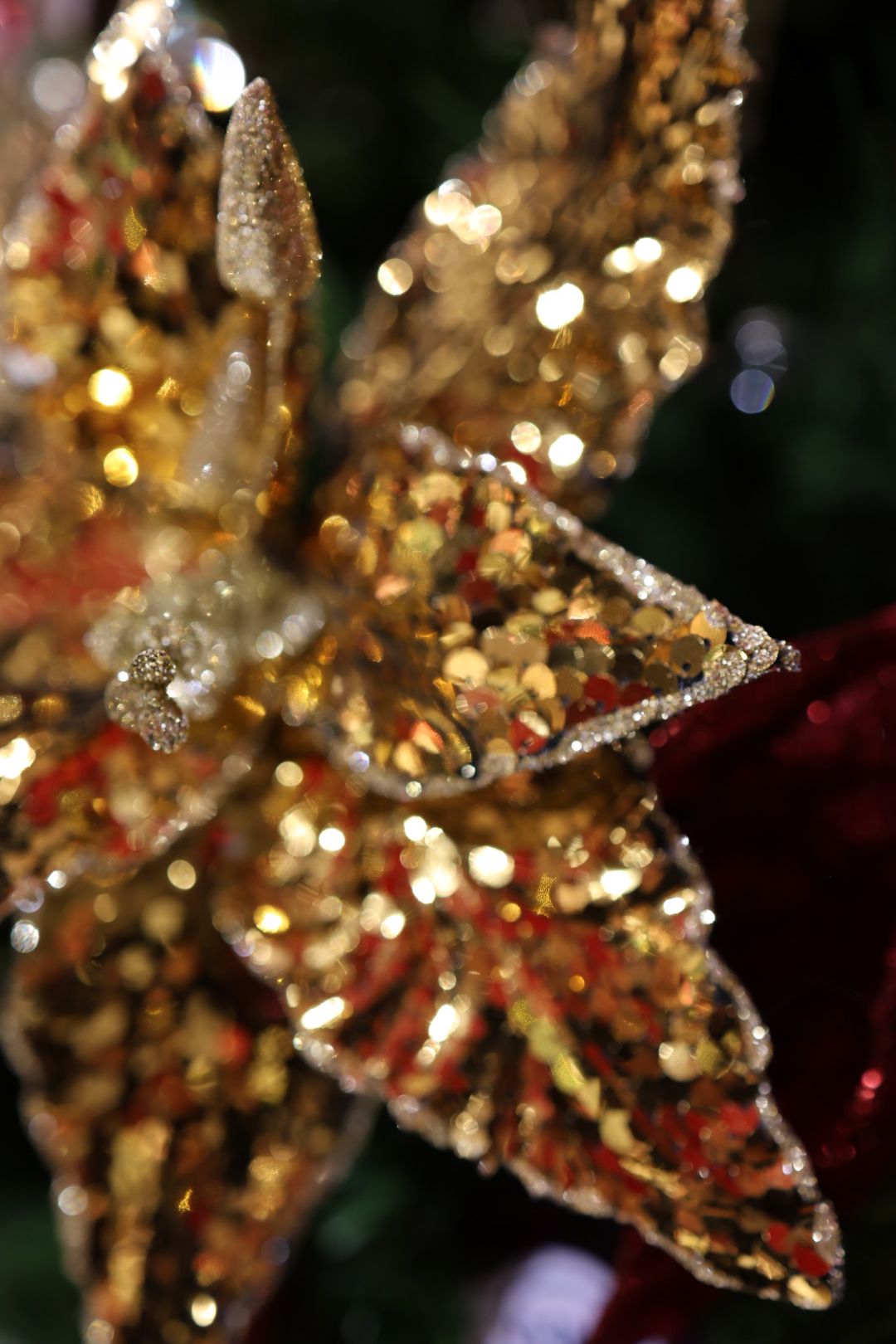 Poinsettia sequin gold