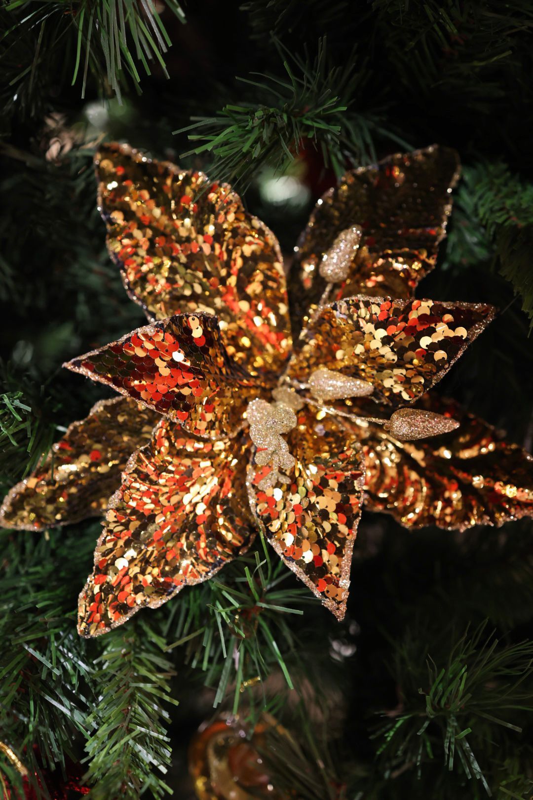 Poinsettia sequin gold