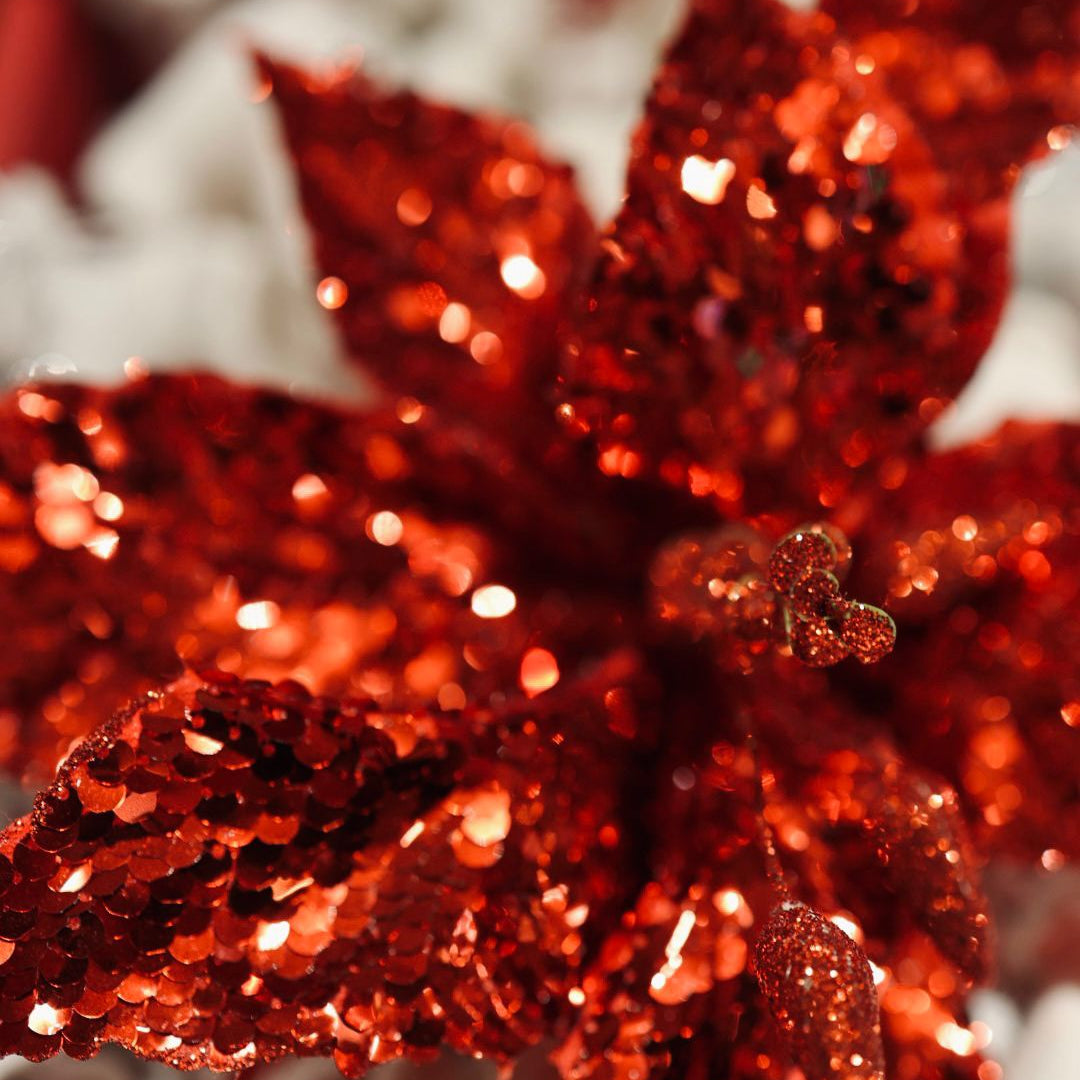 Poinsettia sequin red