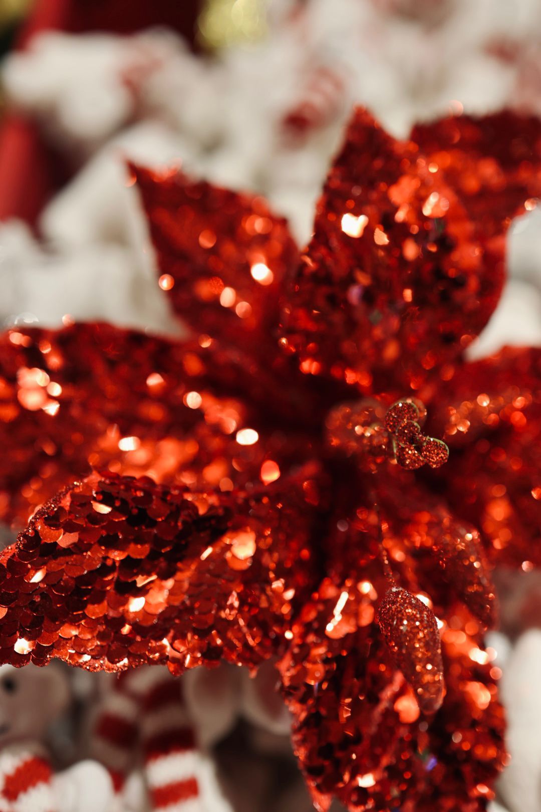 Poinsettia sequin red
