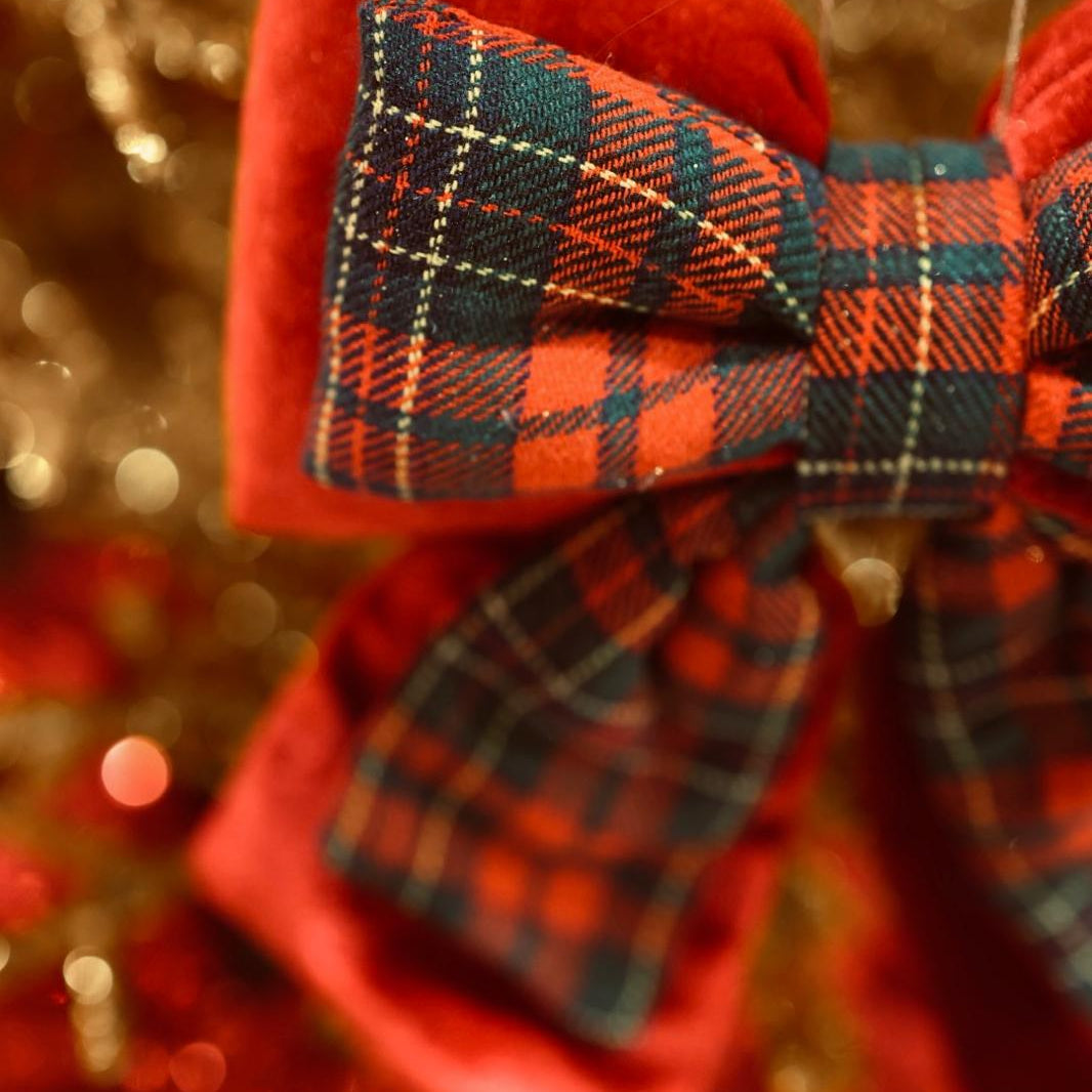 Velvet bow check