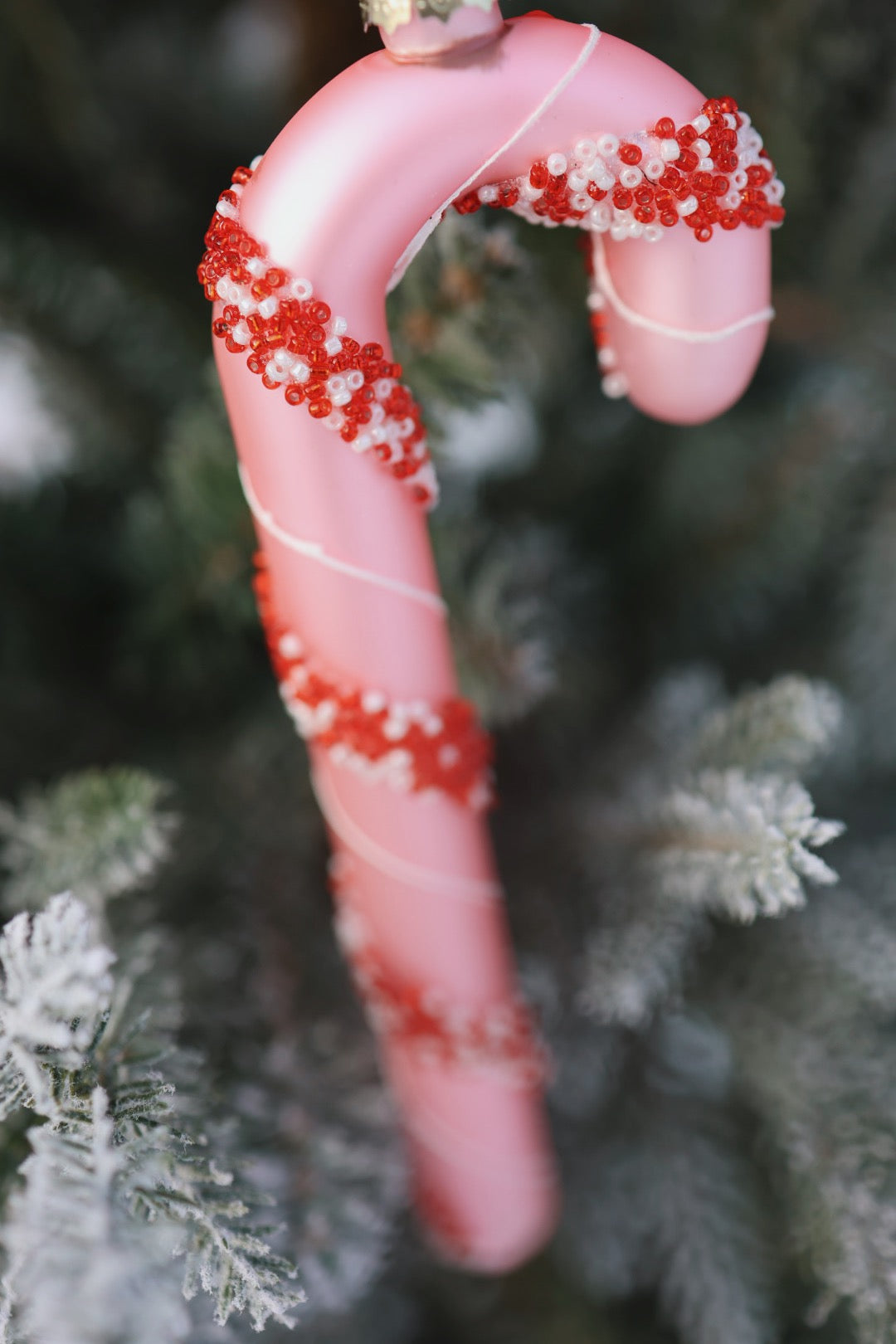 Candy Cane - Stor Rosa