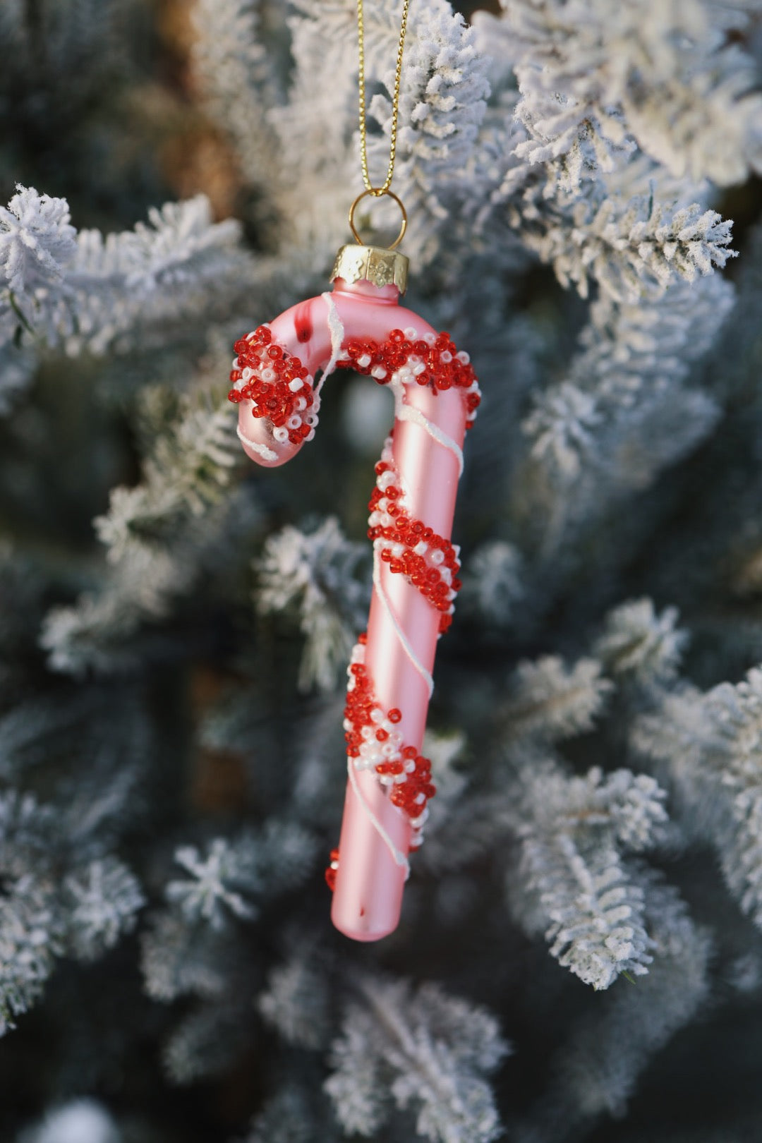 Candy Cane - Rosa