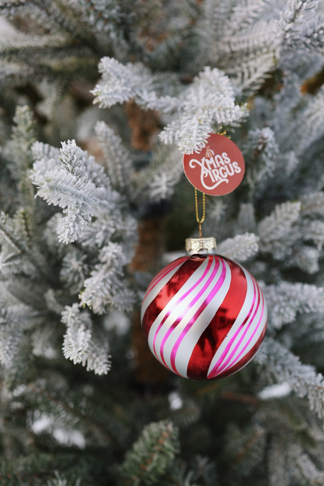 Julekule Candy Swirl Rød / Rosa